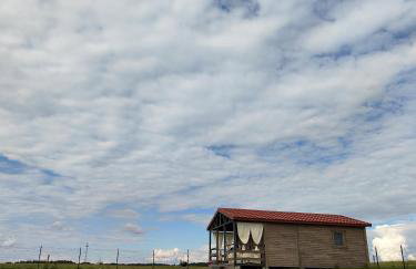 W Szczerym Polu - Foto 47