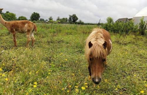 Nid du merle avec sauna et jacuzzi privatif - Foto 38