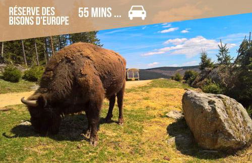 Le Déroc - Netflix Wi-Fi Fibre Terrasse - Foto 24