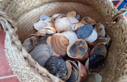 Santos Apartment - Foto 18