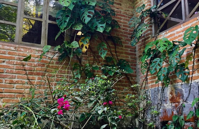 Ideal Para Familia Pequena O Grupo De Tres Amigos - Foto 14