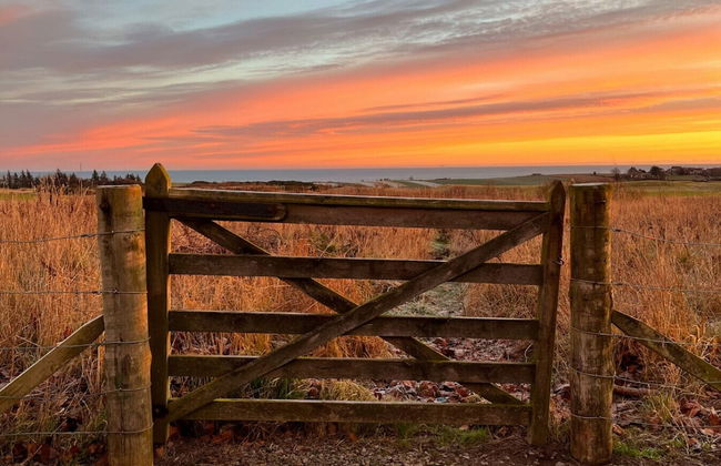 At The Bay - A Quintessential Cottage - Foto 26