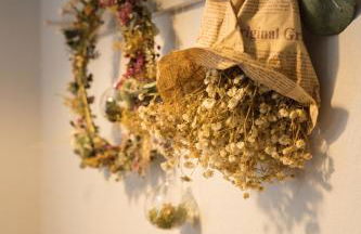 Urlaubsfreude Biedermann Haus Blumenglück - Rose - Foto 23