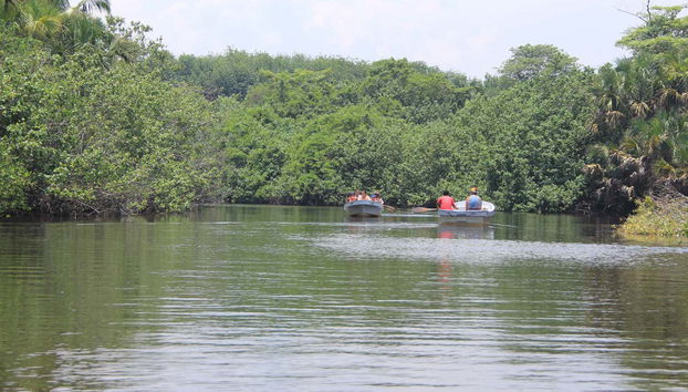 Naviguez sur la lagune de Ventanilla