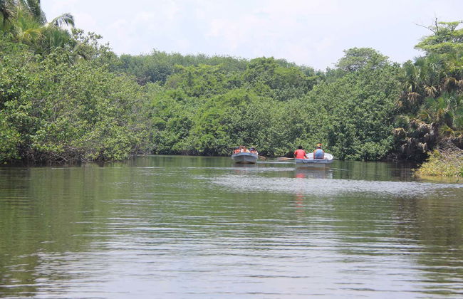 Avistamento de aves e crocodilos + Liberação de tartarugas - Foto 5