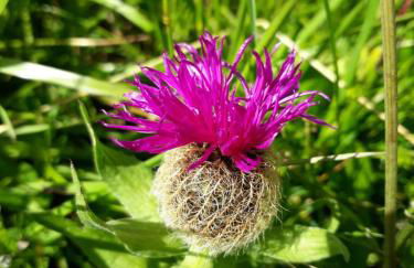 Casa Roberta - Foto 36