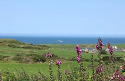 West mouse view - Foto 30