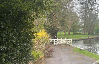 Stylish Home With Full Amenities - Photo 29