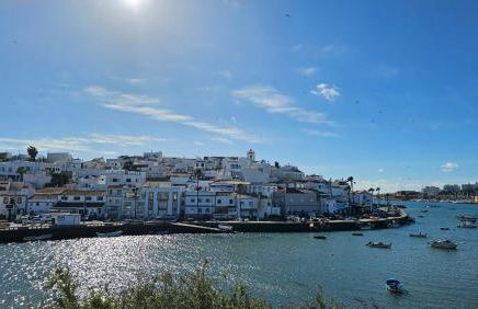 Villa with beautiful see views & spacious garden - Foto 67