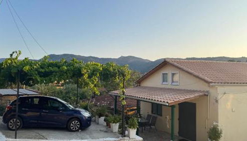 Basil & Sunrise - Photo 3