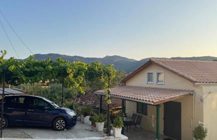 Basil & Sunrise - Photo 3