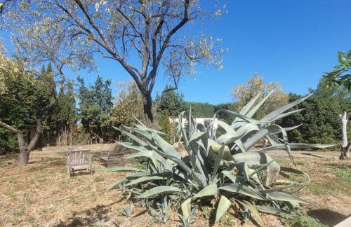 Les Amandiers - Foto 13