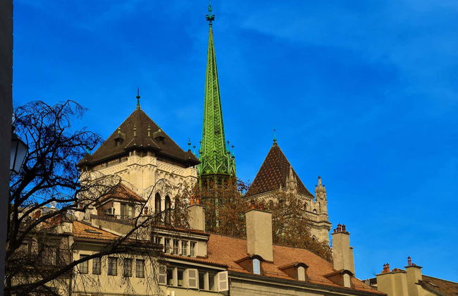 Bus et train touristiques de Genève - Photo 7