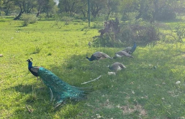 Kings View Exclusive Villas - Foto 46