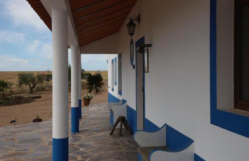 Monte Dos Avós - Photo 9