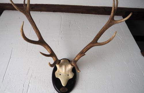 Casa De Nohales - Foto 41