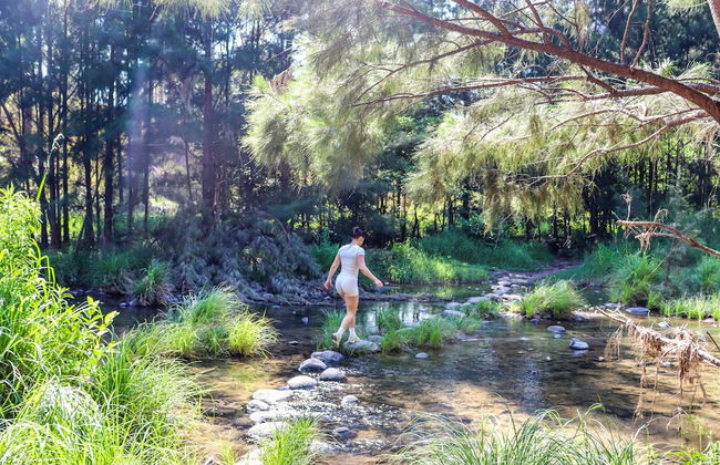 BIG4 Carnarvon Gorge Holiday Park - Foto 45