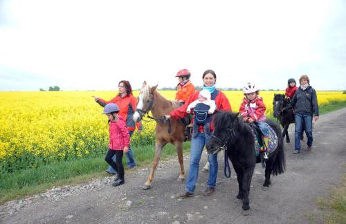 Bauernhof Koehlbrandt - Foto 32