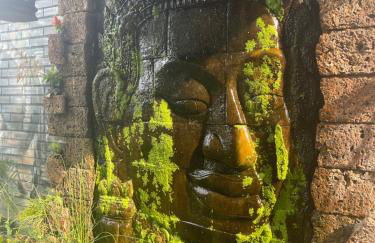 Haus am See - Foto 25