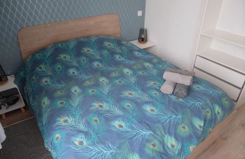 Un séjour ressourçant en Alsace entre vignes et montagnes l'Escapade Barochaise à 20mn de Colmar - Foto 11