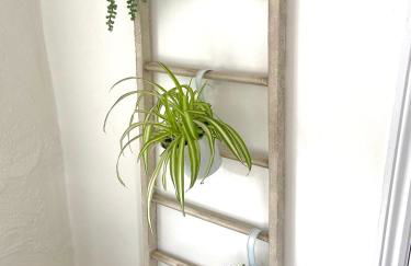 Idyllic Cornish Cottage, Superking bed, private garden dogs welcome - Photo 12