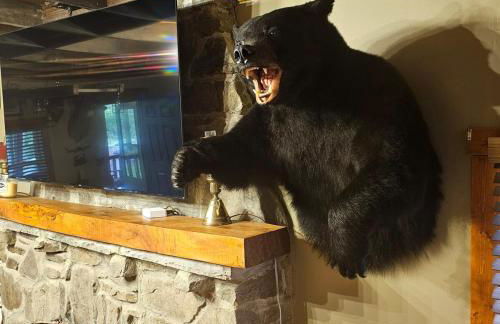 Pet Friendly Creekside Cabin Kooser St Park - Foto 42