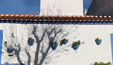 Casa dos Pécoxinhos - Foto 4