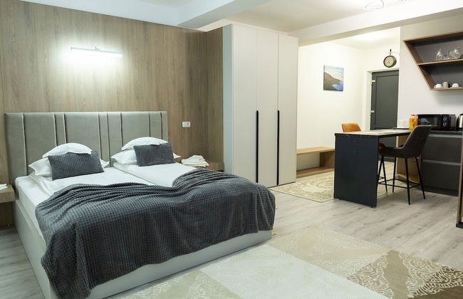 Frasin Studios-6 km to Voronet Monastery - Foto 17