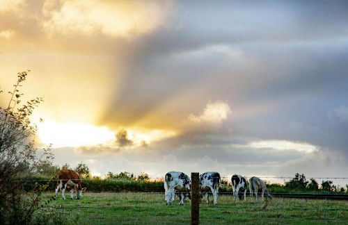 Frankaborough Lodge - Foto 35