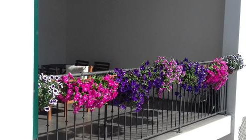 Molino Antico B&B - Foto 4