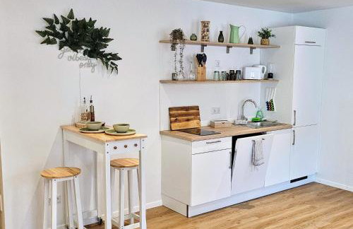 Altstadt INsel - workaction - free parking - Audi - Balkon - Aufzug - Photo 6