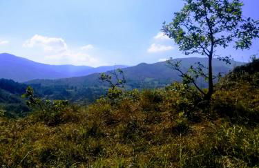 Agriturismo Malvista - Foto 30