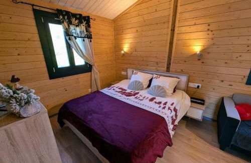Chalet détente avec spa et sauna près des 1000 Étangs - FR-1-583-468 - Foto 9
