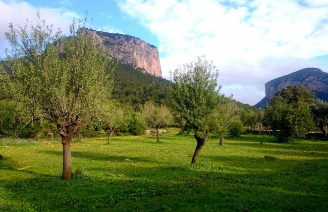 Ca Na Carme Alaronera - Foto 5