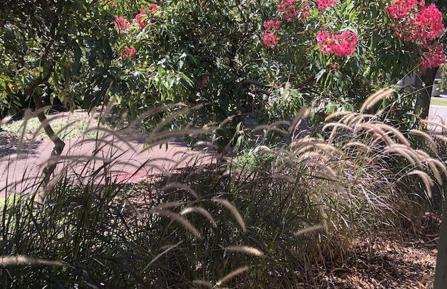 Gumnut Grove The Vintage - Foto 47