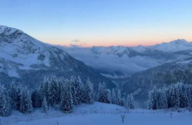 Avoriaz le M1212 - Photo 47