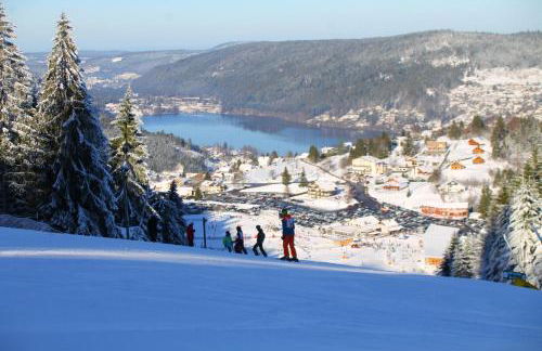 chalet zélcova avec spa à Gérardmer - Foto 48