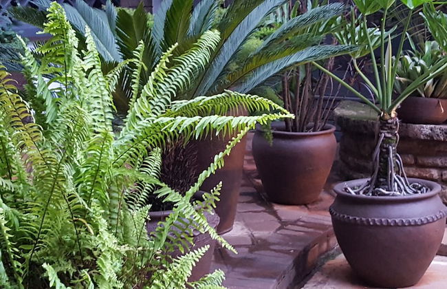 The Grand Gables - Foto 67