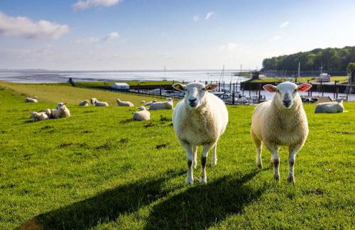 Ferienhaus Liegeplatz Dangast - Foto 14