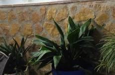 Casa Cueva El Almendro - Foto 20