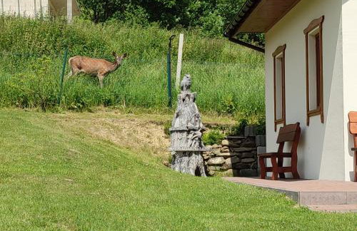 Słoneczna Chałupka - Foto 63