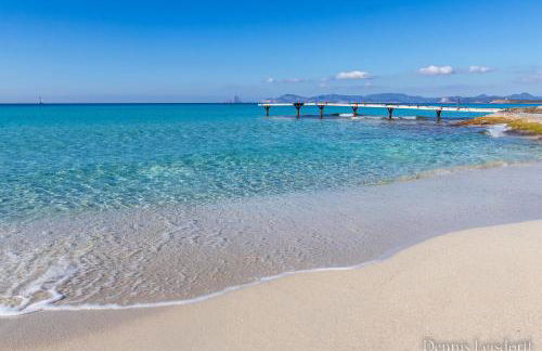 Formentera Especial - Foto 6