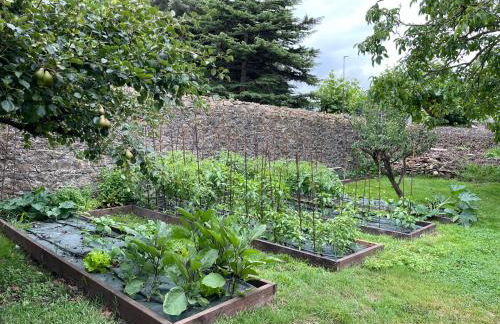 La Solana de Mogro - Foto 71