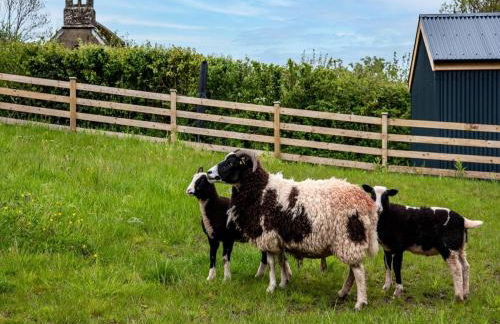 2 Bed in Hereford oc-79176 - Photo 43