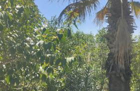 La Fattoria Dei Nonni - Foto 14