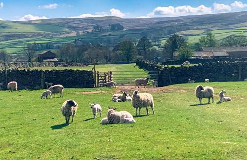 Hobsons Cottage - Foto 9