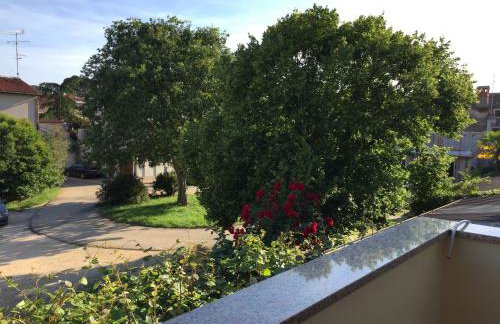 Apartments Vojvoda - Foto 35