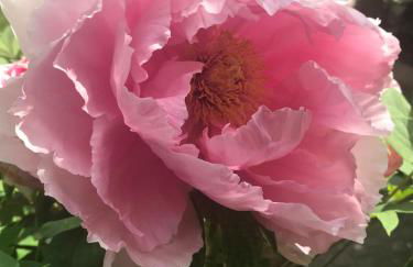 Maison Montello - Foto 32