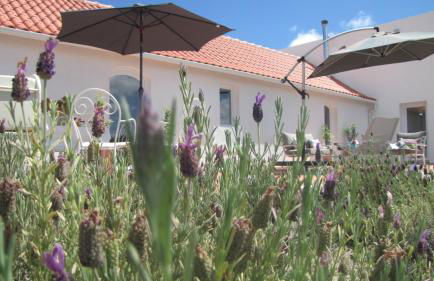 Entre Vinhas & Mar - Foto 129