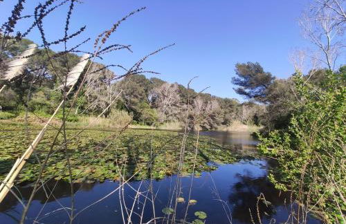 Domaine de La Coudouliere, Vue Mer, Plage, Piscine et Parc - Foto 19